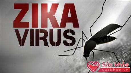 Vi-rút Zika là căn bệnh do muỗi Aedes aegypti và muỗi Aedes albopictus gây ra (Ảnh minh họa: Internet)