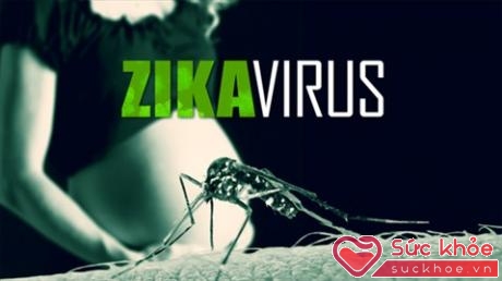 Phụ nữ mang thai được xác định là có vi-rút Zika cần được siêu âm 3 - 4 tuần/lần để theo dõi (Ảnh minh họa: Internet)