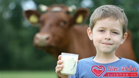Gần 60% dân số trên toàn thế giới bị dị ứng với sữa (Ảnh: Internet)