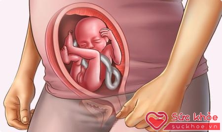 Cân nặng của thai nhi là một tiêu chí để đánh giá sự phát triển của thai nhi