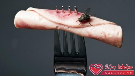 Thực phẩm bị ruồi bâu vẫn có thể dùng được nếu số lượng ruồi ít (Ảnh minh họa: Internet)