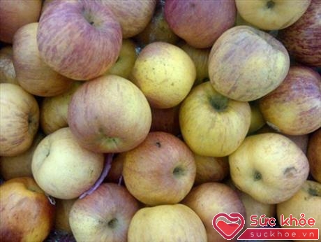 Loại táo Trung Quốc này xuất hiện vào dịp cuối thu ở Việt Nam và giá chỉ từ 10.000 đến 20.000 đồng/kg.