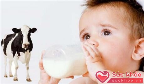 Sữa công thức có thể được chế biến từ sữa động vật như bò, dê. Ảnh: Babylifeindia.