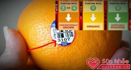 Nhãn dán trên vỏ trái cây tiết lộ thông tin sản phẩm (Ảnh: AWS)