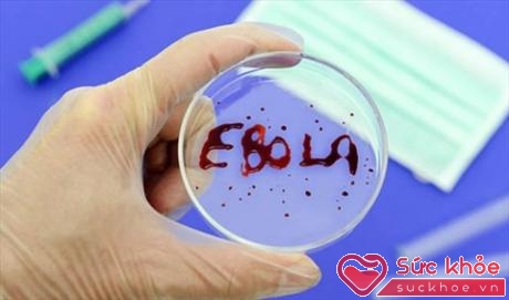 Ebola là một căn bệnh có thể gây chết người nhưng tỷ lệ tử vong thấp (Ảnh: Internet)