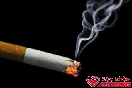 Sử dụng thuốc lá là tác nhân chính gây bệnh tim thiếu máu cục bộ