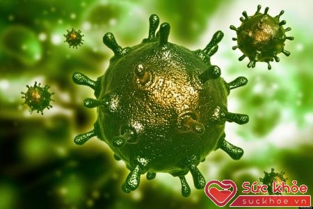 Nguyên nhân bị thủy đậu ở người lớn là do virut
