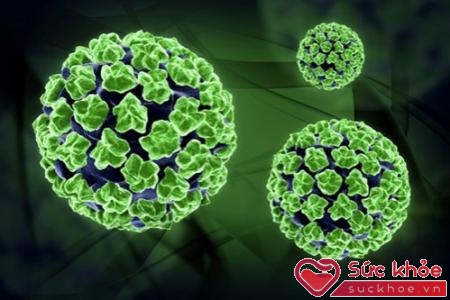 Virus HPV cũng là một trong những tác nhân gây bệnh