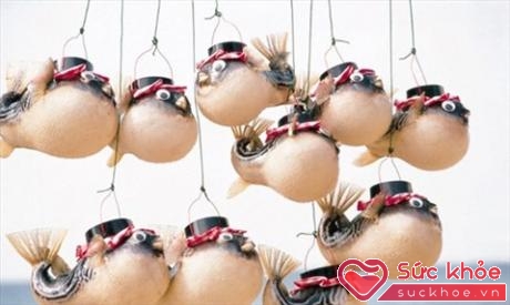 Những chiếc đèn lồng làm bàng da cá nóc thật treo bên ngoài một nhà hàng tại thành phố Shimonoseki. (Ảnh: CNN)