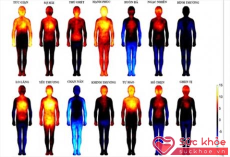 Phản ứng của các vùng cơ thể theo từng loại cảm xúc (Ảnh: Lauri Nummenmaa, Enrico Glerean, Riitta Hari, and Jari Hietanen)