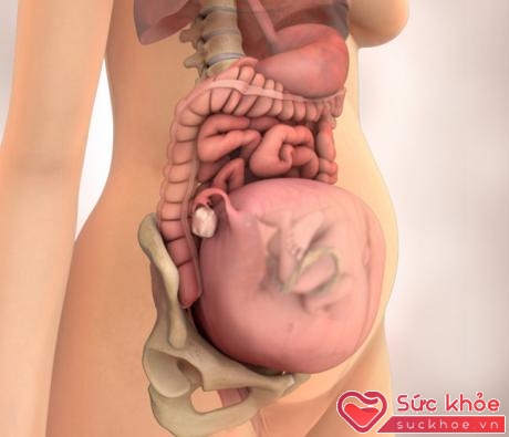 Tuần 21: Chúc mừng mẹ đã bước sang giai đoạn thứ 2 của thai kỳ. Tử cung mở rộng khoảng 3cm. Vào tuần này, những vết rạn da có thể đã xuất hiện trên ngực và bụng. Những cử động của con yêu cũng ngày một rõ nét hơn. 