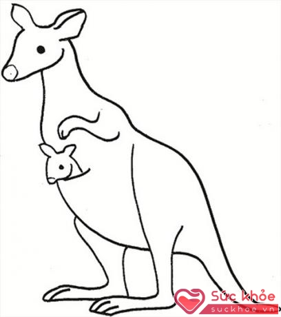 Phương pháp kangaroo được áp dụng để chăm sóc và nuôi dưỡng trẻ sinh non, nhẹ cân