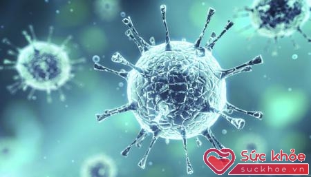 Vi khuẩn và virus là nguyên nhân hay bị cảm lạnh ở người