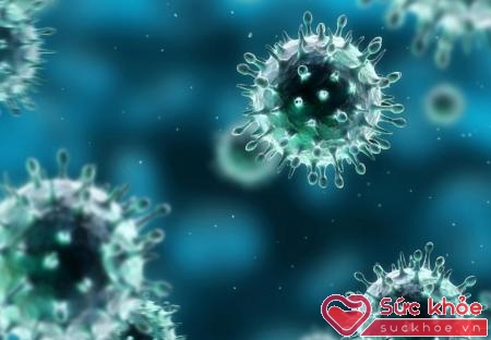 Virus HPV là nguyên nhân chính gây bệnh sùi mào gà miệng