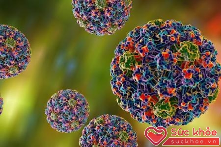 Sùi mào gà do virus HPV gây ra