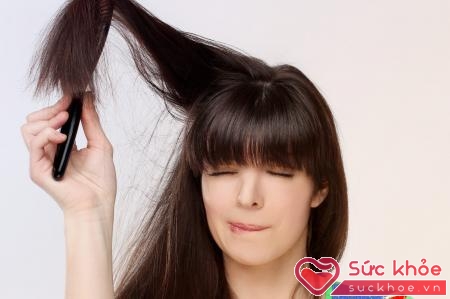 Tóc rụng do thuốc, bệnh lý hay khi chăm sóc tóc không đúng cách