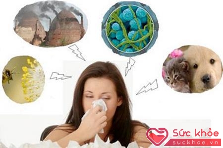 Nguyên nhân viêm xoang mũi dị ứng do nhiễm trùng và vấn đề hô hấp gây ra