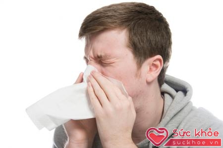 Viêm mũi dị ứng là bệnh thường gặp hiện nay