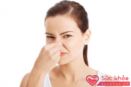 Cần hạn chế các tác nhân gây bệnh để chứng viêm mũi không làm phiền bạn
