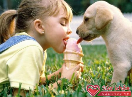Nguyên nhân gây viêm mũi dị ứng có thể từ các con vật nuôi trong gia đình