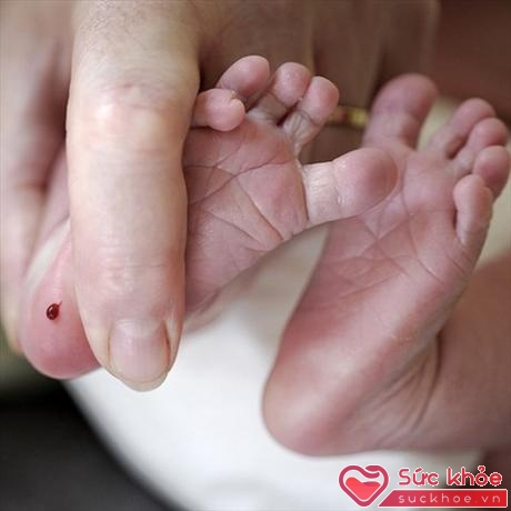 Giọt máu gót chân có thể cứu sống trẻ sơ sinh 