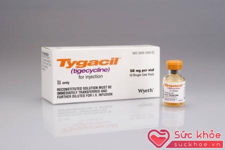 Thuốc kháng sinh tygacil (tigecycline) 