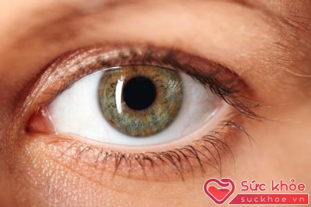 Cần có phương pháp điều trị chứng bệnh về mắt hiệu quả