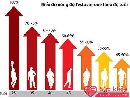 Biểu đồ nồng độ testosterone ở nam giới theo độ tuổi