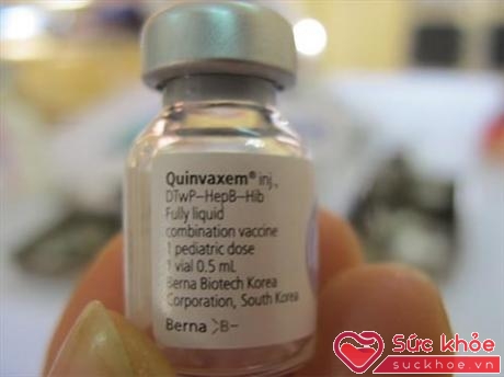 Tiêm vắc-xin Quinvaxem không chỉ bảo vệ sức khỏe cá thể mà còn bảo vệ sức khỏe cả quần thể