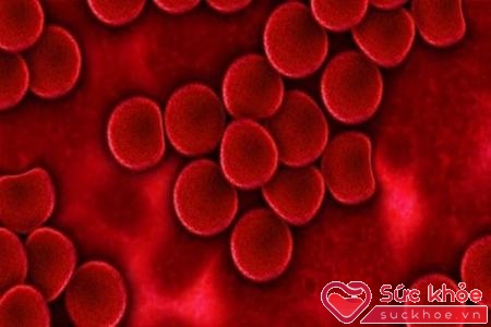 Người mang nhóm máu AB có khả năng mắc các bệnh về trí nhớ cao gấp 2 lần người nhóm máu O