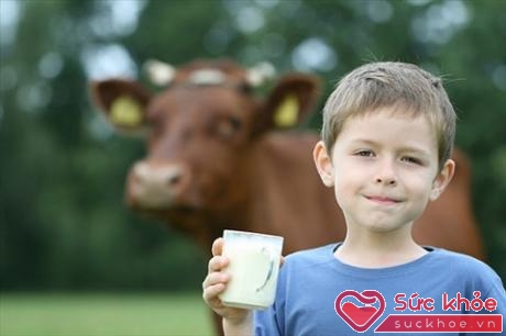 Sữa là thực phẩm rất tốt cho chiều cao của trẻ