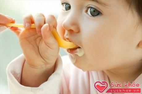 Khi bé được 6-9 tháng, bạn có thể luyện cho bé tự xúc ăn bằng thìa.