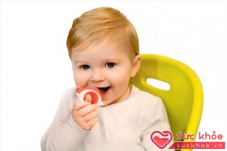 Cha mẹ có thể dùng muỗng đút cho trẻ ăn thực phẩm tươi nghiền nhuyễn hoặc cho vào một chiếc túi nhai chống hóc để bé tự cầm mút như bú sữa bình