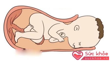Quá trình thúc đẩy trong bụng mẹ để chào đời cũng được chứng minh là rất có lợi cho sự tăng trưởng và phát triển của thai nhi