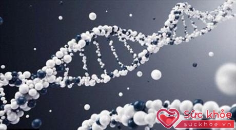 Những gì người phụ nữ ăn trước khi mang thai liên quan đến sự thay đổi DNA của em bé