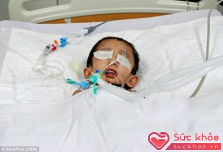Bé Chen Lin, 4 tuổi, đã hiến tạng để cứu sống nhiều người khác sau khi qua đời vì u não