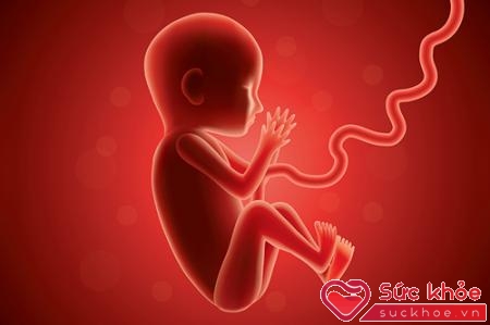 Chuyển động đầu tiên của thai nhi được ghi nhận là vào khoảng tuần thứ 9 thai kỳ