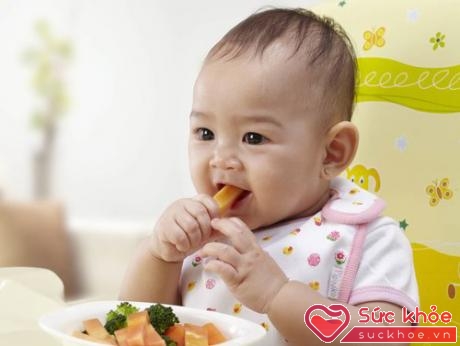 Khi đến tuổi ăn dặm rau, củ, quả là một trong những thực phẩm không thể thiếu bổ sung chất dinh dưỡng cho trẻ nhỏ