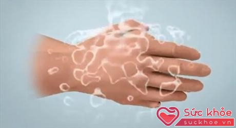 Trước khi vắt sữa, phải rửa sạch tay bằng xà phòng