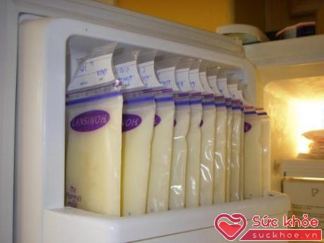 Bảo quản sữa trong tủ đông có thể để được 6 tháng