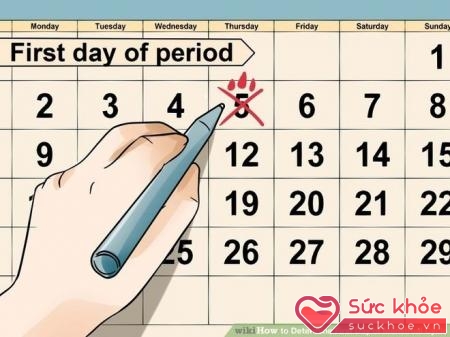 Thời gian màu mỡ nhất để thụ thai trong mỗi tháng của người phụ nữ là từ ngày thứ 12-16 của chu kỳ kinh nguyệt