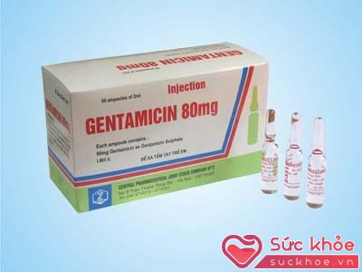 Gentamicin là thuốc kháng sinh nhóm aminoglycosid
