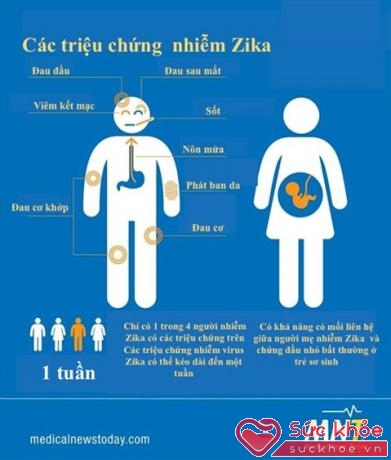 Các triệu chứng nhiễm vi-rút Zika