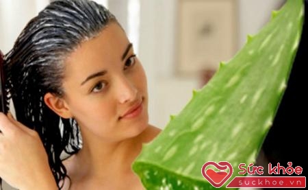 Sử dụng gel lô hội để cải thiện hiệu quả tình trạng rụng tóc
