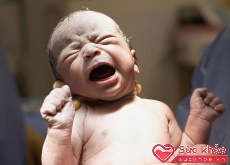 Một số thai phụ được chỉ định mổ đẻ ngay từ khi mang thai nhưng số khác lại chỉ có quyết định mổ đẻ trong quá trình chuyển dạ.