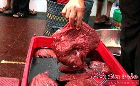 Thịt bò dễ bị làm giả từ thịt trâu hoặc thịt lợn sề