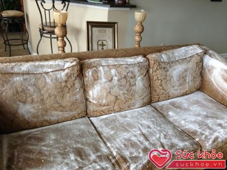 Cách làm sạch ghế sofa da hiệu quả với baking soda