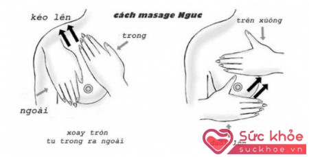 Cách massage ngực bằng tinh dầu