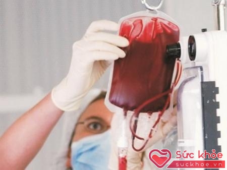 Trong an toàn truyền máu, việc sàng lọc các bệnh lây nhiễm qua máu có tầm quan trọng rất lớn 