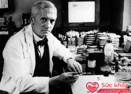 Alexander Fleming, người phát minh ra penicillin, cứu cánh cho nhân loại